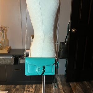 Tabby Turquoise Leather Chain crossbody/clutch